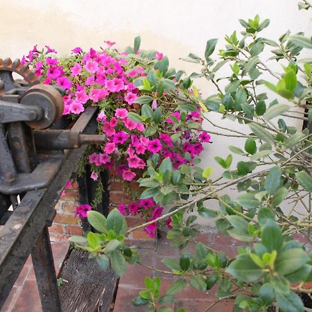 La Vecchia Cartiera 호텔 콜레 발델사 외부 사진